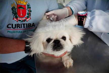 Rede de Proteção Animal