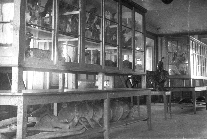 Sala de exposições da segunda sede do Museu Paranaense (1900-1913).